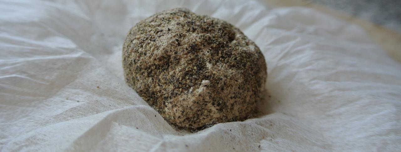 Die Belper Knolle in Wien