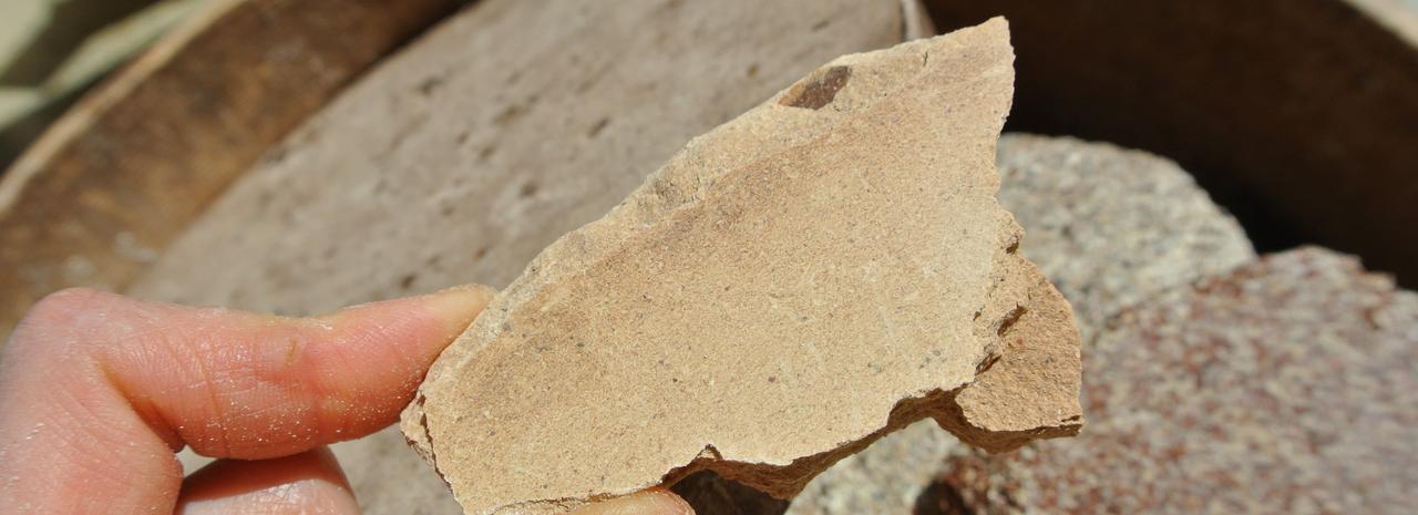 Ölpresskuchen: Ein Grund, in der Küche kreativ zu werden #nowaste #nosetotail