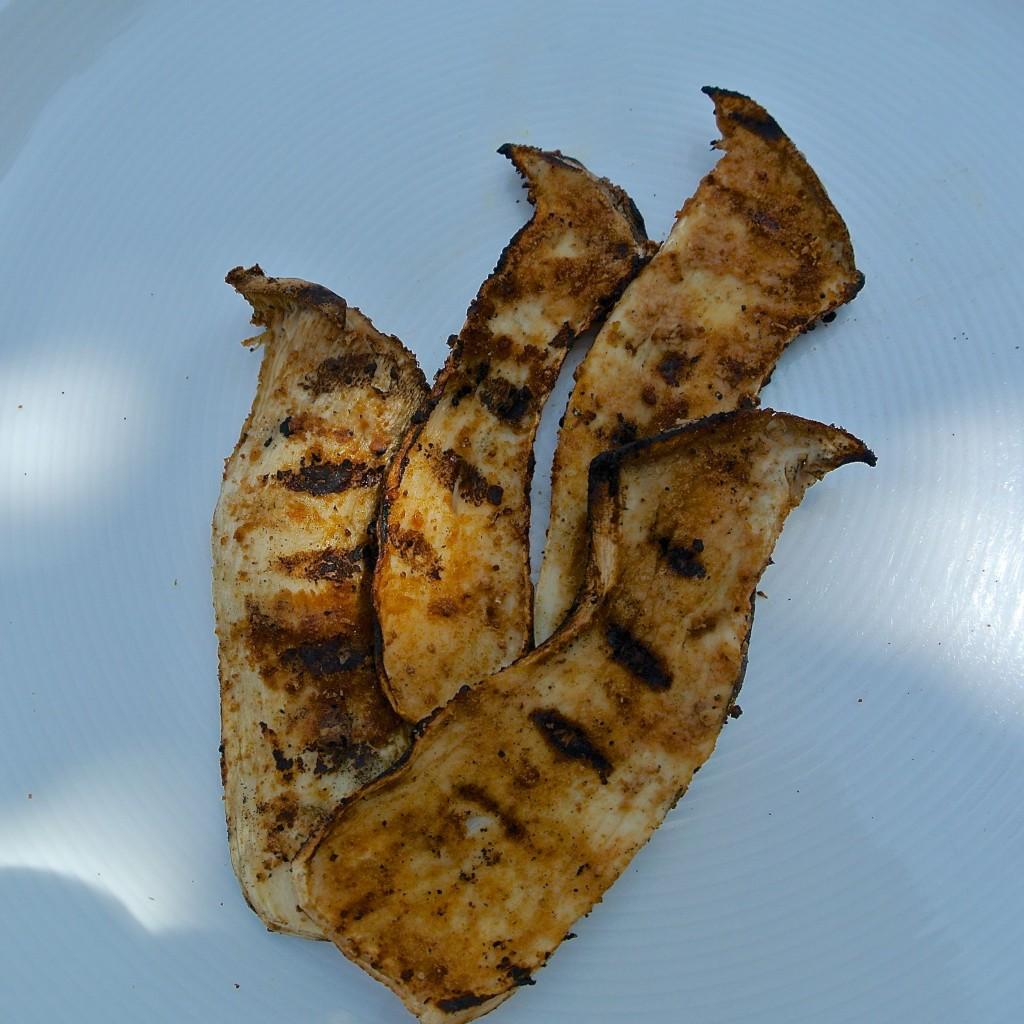 fandler2-macadamia-kraeuterseitling