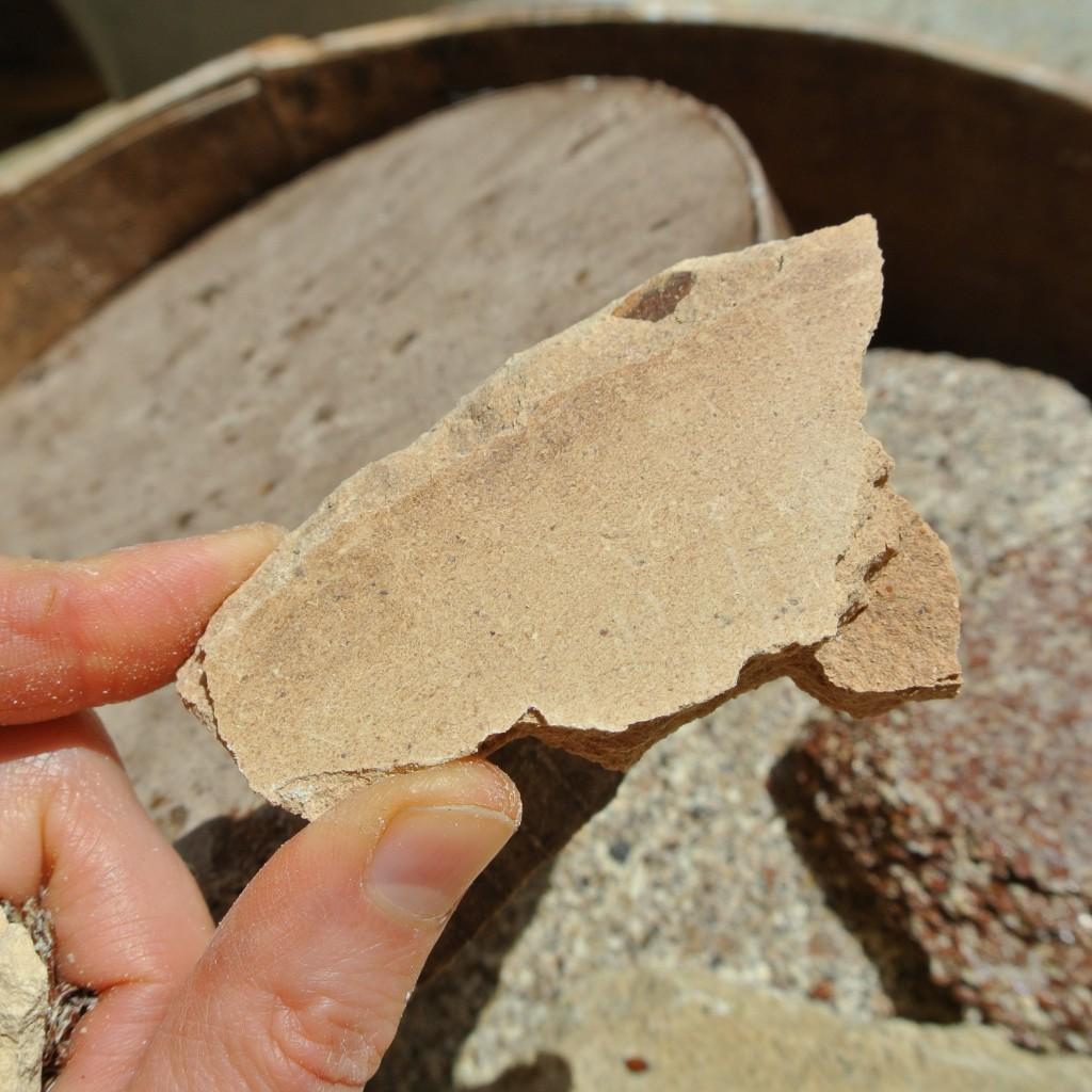 Ein Stück Haselnusspresskuchen vor der Vermahlung