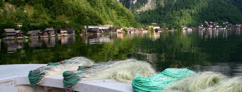 Feldküche 2017 – Wilder Fisch und frittierte Köpfe