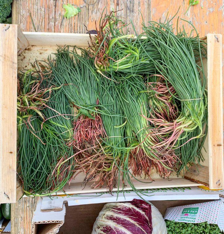 März-Must-have: Mönchsbart aka barba di frate