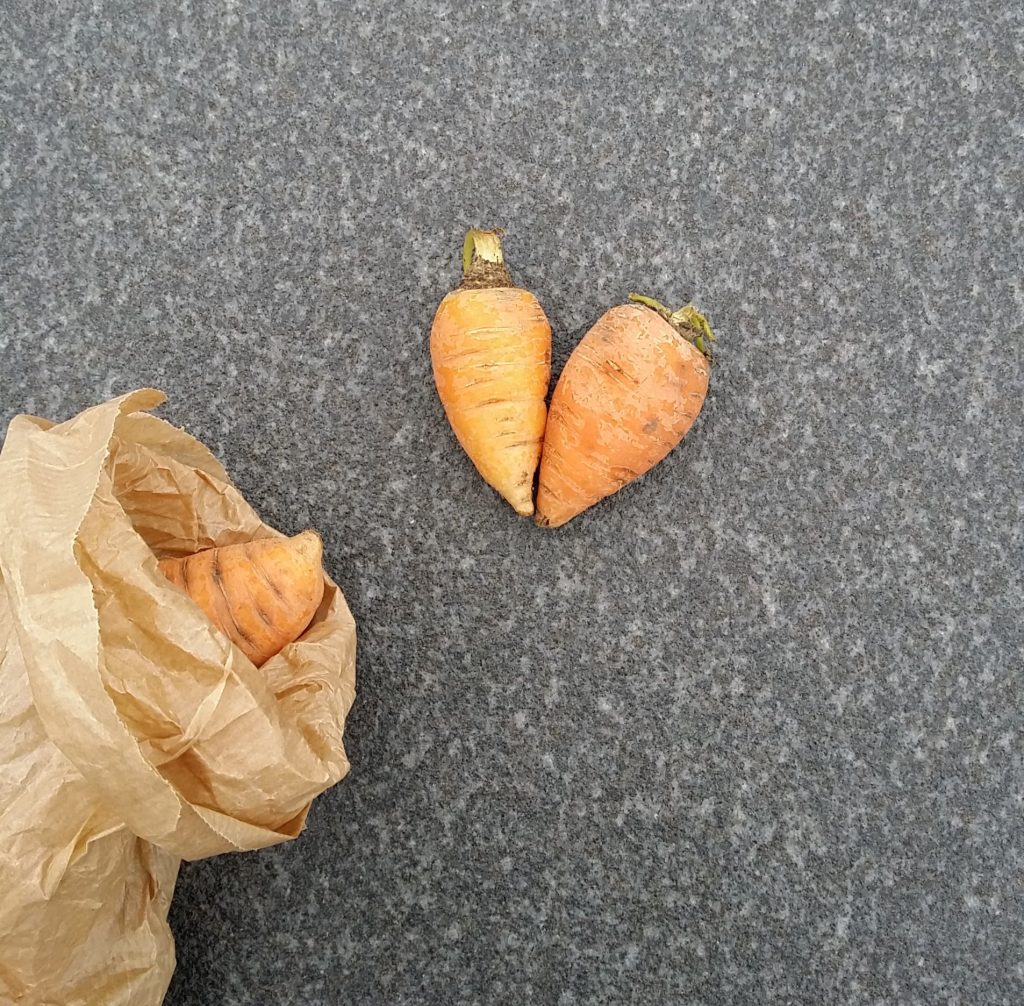 ochsenherz-carrot-heart(C)Vockenhuber