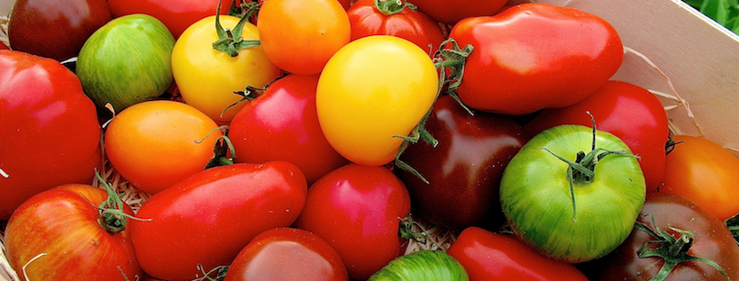 Soll man Tomatenkerne entsorgen?